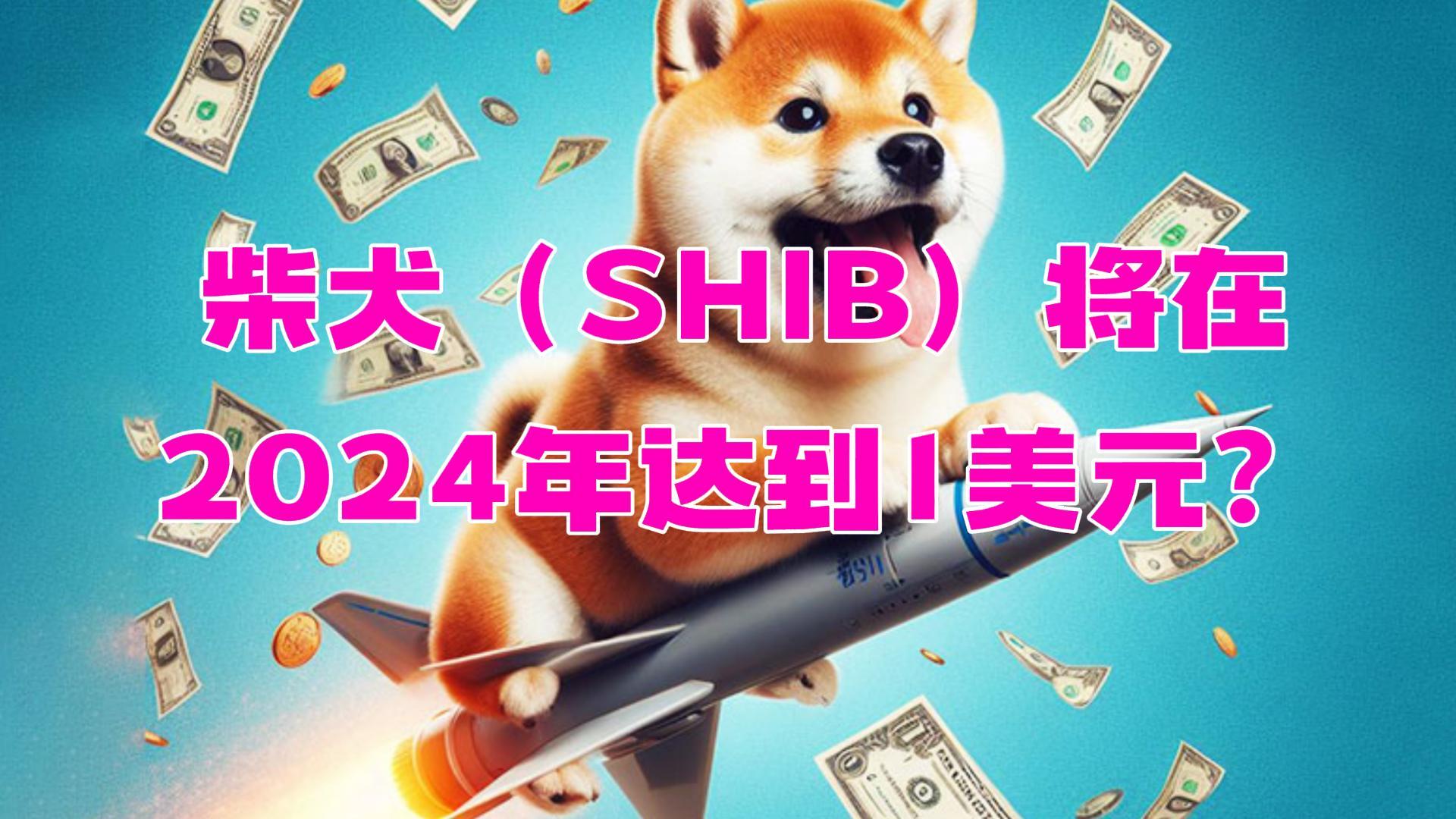 专家称SHIB将在年底冲破6.3美元，引发引发关注